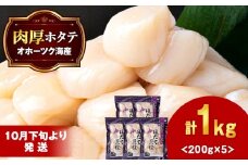 ほたて 貝柱 冷凍 200ｇ(15粒前後)×5パック 小分け お取り寄せ 刺身  《横田水産》