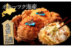 北海道産 毛ガニ約500g×2尾 セット ボイル お取り寄せ 冷凍 おかずおつまみ《横田水産》