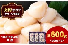ほたて 貝柱 冷凍(15粒前後)200ｇ×3パック 小分け お取り寄せ 刺身 《横田水産》