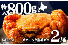 ☆北海道産 毛ガニ 約800g×2尾 セット かに 蟹 毛蟹 冷凍 北海道産 浜頓別町