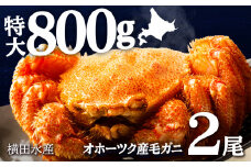 ☆北海道産 毛ガニ 約800g×2尾 セット かに 蟹 毛蟹 冷凍 北海道産 浜頓別町