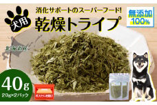 犬 おやつ 無添加 国産 乾燥グリーントライプ 40g (20g×2) ペット エサ 餌 浜頓別 北海道