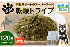 犬 おやつ 無添加 国産 乾燥グリーントライプ 120g (20g×6) ペット エサ 餌 浜頓別 北海道