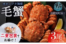 【数量限定】北海道産 毛がに 3尾 (１尾570g～650g)【株式会社シーグレイセス】浜頓別 塩茹で カニ