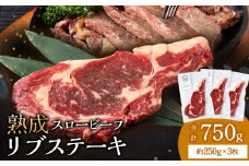 放牧牛 スロービーフ リブステーキ 250g前後 3枚(合計750g以上) 杉山牧場 北海道 浜頓別 肉 牛 牛肉 ウエットエイジング