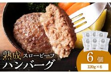 放牧牛 スロービーフ ハンバーグ 120g 6個(計720g) 杉山牧場 北海道 浜頓別 肉 牛 牛肉 ウエットエイジング