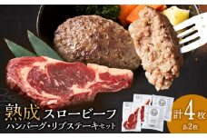 放牧牛 杉山牧場 スロービーフ リブステーキ 250g前後 2枚(合計500g以上)&ハンバーグ120g 2個 食べ比べセット