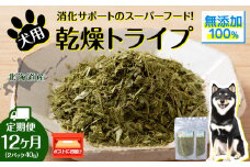 犬 おやつ 鹿肉 無添加 国産 乾燥グリーントライプ 40g (20g×2) 定期便12回 ペット 餌 エサ 浜頓別 北海道
