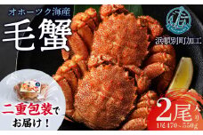 【数量限定】北海道産 毛がに 2尾 (１尾470g～550g)【株式会社シーグレイセス】浜頓別 塩茹で カニ