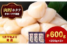 【1月末発送】ほたて 冷凍貝柱 冷凍(15粒前後)200ｇ×3パック お取り寄せ 刺身 《横田水産》