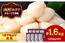 【1月末発送】ほたて 貝柱 冷凍 200ｇ(15粒前後)×8パック お取り寄せ 刺身 《横田水産》