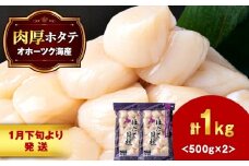 【1月末発送】 ホタテ 貝柱 冷凍 大粒　1kg（500ｇ×2パック） お取り寄せ 刺身 《横田水産》