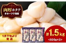 【1月末発送】ほたて 貝柱 大粒 冷凍 1.5kg（500ｇ×3パック） お取り寄せ 刺身 《横田水産》