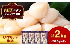 【1月末発送】 ほたて 貝柱 大粒 冷凍 2kg（500ｇ×4パック） お取り寄せ 刺身 《横田水産》