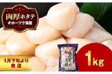 【1月末発送】 ほたて 貝柱 大粒 冷凍 1kg×1パック お取り寄せ 刺身 《横田水産》