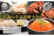オホーツク枝幸の恵 高田商店 海の幸 年3回定期便 【 魚貝類 サーモン 鮭 いくら 魚卵 帆立 ホタテ 北海道 】