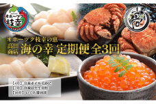 オホーツク枝幸の恵 海の幸 年3回 定期便 [2026年4月発送開始] 丸高 高田商店【 魚貝類 いくら 魚卵 帆立 ホタテ サーモン 鮭 北海道 オホーツク 枝幸 】
