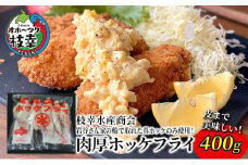 北海道 枝幸町 岩谷さん家の船の 肉厚 ホッケ フライ (400g)