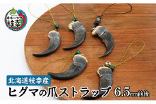 北海道枝幸産 ヒグマの爪ストラップ 6.5cm前後 くま 熊 ヒグマ 羆 アクセ スマホ