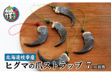 北海道枝幸産 ヒグマの爪ストラップ 7cm前後 くま 熊 ヒグマ 羆 アクセ スマホ