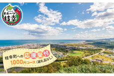 北海道枝幸町 寄附のみの応援受付 1,000円コース（返礼品なし 寄附のみ 1000円）