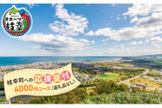 北海道枝幸町 寄附のみの応援受付 4,000円コース（返礼品なし 寄附のみ 4000円）