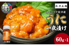 オホーツク枝幸産 うに一夜漬け60g×1瓶