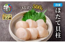 北海道 オホーツク産 ふるさとの贈り物 500gの冷凍ほたて貝柱【 枝幸ほたて 】至福の味 海洋食品 刺身 魚介 帆立 