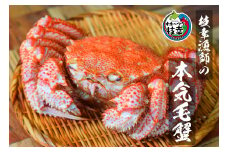 【朝獲れ毛蟹を即ボイル！枝幸漁師の本気毛蟹】特大毛ガニ(700g～900g)1尾入【 カニ 蟹 毛ガニ 毛がに 毛蟹 朝茹で 冷凍 北海道 オホーツク 枝幸 】