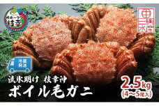 〈冷蔵発送〉流氷明け 枝幸沖 ボイル毛ガニ 2.5kg (4～5尾入) 先行予約【2026年3月頃発送予定】旬の味覚［丸中三興水産］オホーツク枝幸 前浜【 蟹 カニ かに 毛ガニ 冷蔵 チルド 獲れたて 茹でたて 浜茹で 海鮮 魚貝 魚介 北海道 枝幸 】
