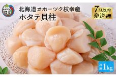 【枝幸ほたて】甘みたっぷり肉厚！大粒冷凍ほたて貝柱1kg 山武水産