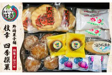 老舗 野崎菓子店の和菓子詰合せ｢枝幸 四季撰菓｣