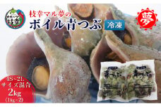 枝幸マル夢 ボイル青つぶ 2kg(4S～2Lサイズ混合) 【 ツブ つぶ 貝 冷凍 魚貝 北海道 オホーツク 枝幸 】