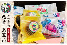 老舗 野崎菓子店の和菓子詰合せ｢枝幸 三笠山｣