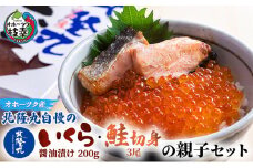 北隆丸自慢のいくら醤油漬け200g・鮭切身3尾の親子セット オホーツク枝幸産【 いくら イクラ 鮭 サケ サーモン 鮭卵 魚卵 魚貝 魚介 加工食品 北海道 オホーツク 枝幸 】