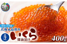 北隆丸自慢のいくら醤油漬け400g オホーツク枝幸産【 いくら イクラ 鮭 鮭卵 魚卵 魚貝 魚介 加工食品 北海道 オホーツク 枝幸 】
