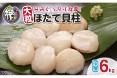 【枝幸ほたて】甘みたっぷり肉厚！大粒冷凍ほたて貝柱6kg 山武水産