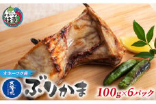 北隆丸 ぶりかま 100g×6P【 ぶり ブリ 切り身 干物 カマ ブリカマ 魚貝類 魚介類 加工食品 北海道 オホーツク 枝幸 】