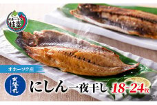にしん一夜干し1.8kg（18～24枚）［300g（3～4枚入）×6P］ オホーツク枝幸産