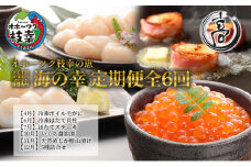 オホーツク枝幸の恵 高田商店 海の幸 年6回定期便 【 魚貝類 いくら 魚卵 帆立 ホタテ サーモン 鮭 北海道 】