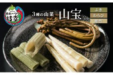 3種の山菜「山宝」ふき・わらび・姫竹 オホーツク枝幸産