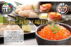 オホーツク枝幸の恵 高田商店 6種の海鮮 工場長セット 【 魚貝類 帆立 ホタテ いくら 魚卵 サーモン 鮭 北海道 】
