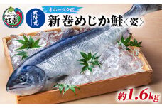 北隆丸 新巻めじか鮭〈姿〉約1.6kg オホーツク枝幸産