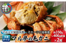 マル夢の毛ガニ約350g～400g前後×2尾【冷凍ボイル】オホーツク枝幸産