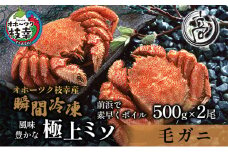 オホーツク枝幸産 毛ガニ500g×2尾（-196℃液体窒素瞬間凍結品）高田商店 【 毛カニ 蟹 かに カニ 北海道 】 