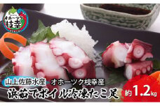 浜茹でボイル冷凍たこ足 約1.2kg［オホーツク枝幸産］山上佐藤水産 たこ タコ 脚 海鮮 北海道