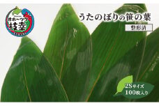 ［整形済］うたのぼりの笹の葉2Sサイズ100枚入り【オホーツク枝幸】19.5cm×6cm