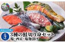 北隆丸 3種の鮭切り身セット（塩・西京・塩麹）オホーツク枝幸産【 鮭 サケ サーモン 切り身 干物 魚貝類 魚介類 漬け 漬魚 塩漬け 味噌漬け 西京漬け 加工食品 北海道 オホーツク 枝幸 】
