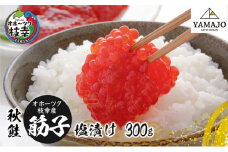 オホーツク枝幸産 秋鮭 筋子300g［塩漬け］山上佐藤水産 【 魚貝類 いくら 魚卵 北海道 オホーツク 枝幸 】