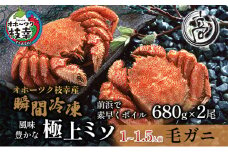 特大冷凍ボイル毛がに680g×2尾 オホーツク枝幸産（-196℃液体窒素瞬間凍結品）高田商店 【 毛カニ 蟹 かに カニ 北海道 】 